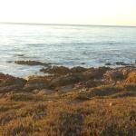 cambriaDR_0262 (November 02, 2019)